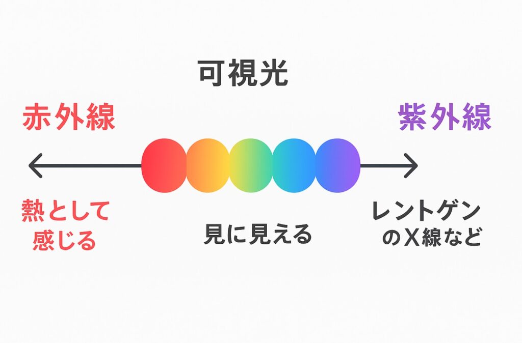 kashikosen 